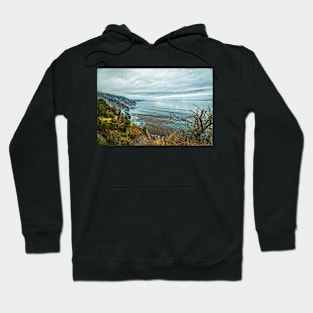 Pacific Coast Highway View Hoodie